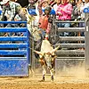 PHOTO GALLERY: Saturday’s Socorro County 2023 PRCA rodeo