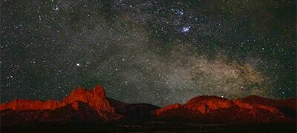 Jackson Park: eyes to the sky