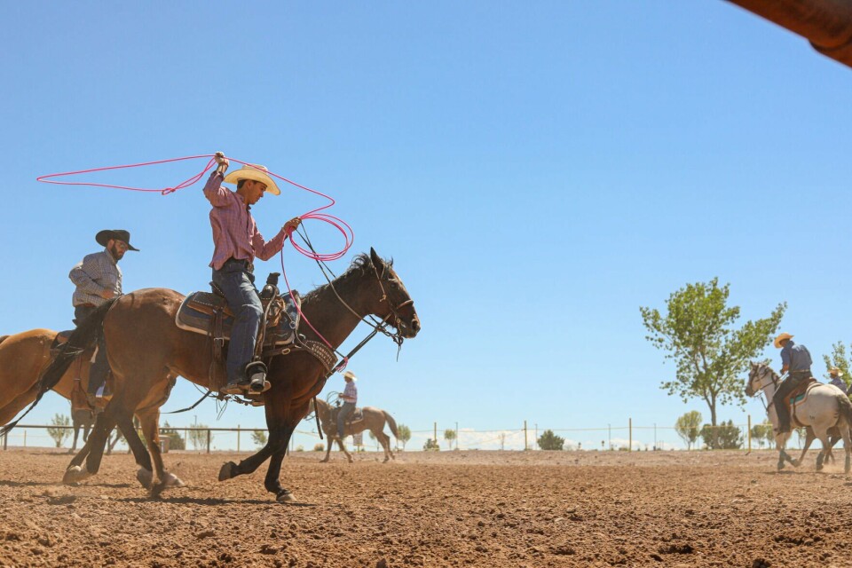 John Cook Roping PHOTO GALLERY: World Series Team Roping | | dchieftain.com