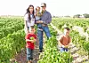 Fifth-generation green chile farmers Ken and Shaina Bustamante