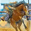 PHOTO GALLERY: Saturday’s Socorro County 2023 PRCA rodeo