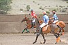 The King’s sport in Catron County | Community | dchieftain.com