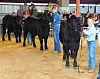 Steers-Raylan Cason, JD Kersey