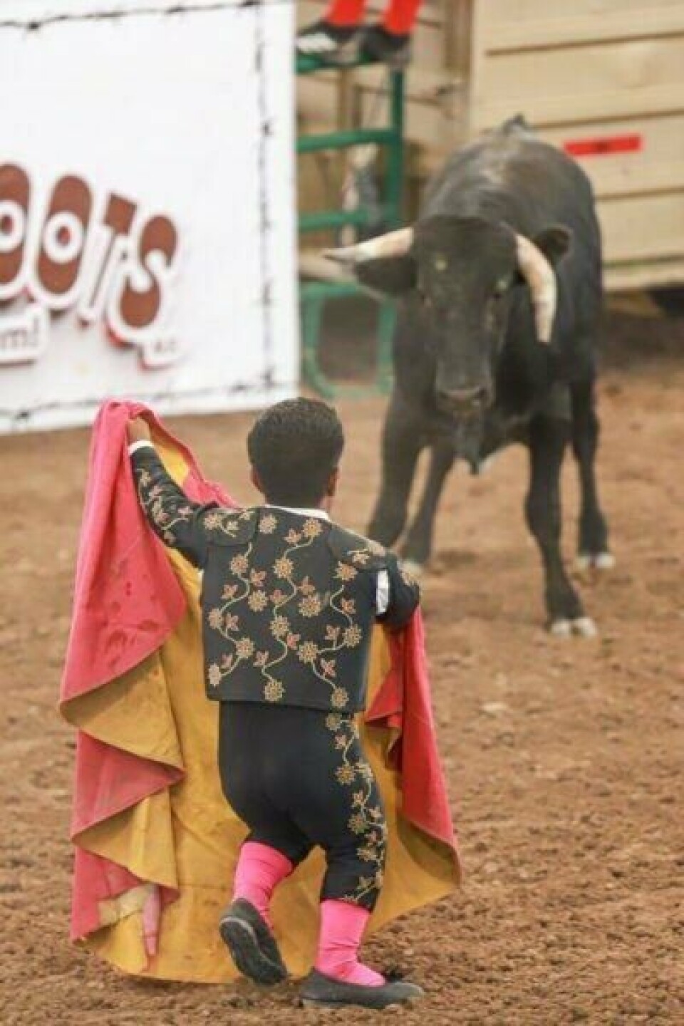 Midget Rodeo PHOTO GALLERY: Midget Power | Features | dchieftain.com