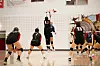 Alamo Navajo volleyball Springer