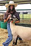 4H sheep brace