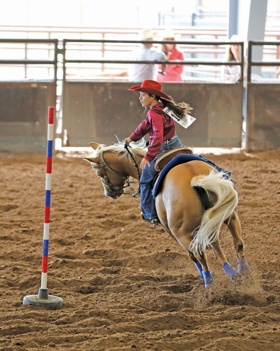 New Mexico High and Junior High School Rodeo | Sports | dchieftain.com