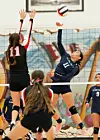Photo Gallery: Alamo Navajo in the state volleyball tournament