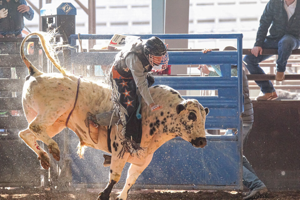 Jetspeed Rodeo PHOTO GALLERY: HS & JR Rodeo