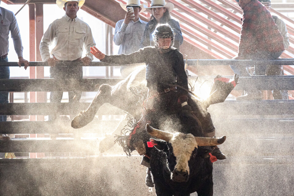 Hs Rodeo PHOTO GALLERY: HS & JR Rodeo