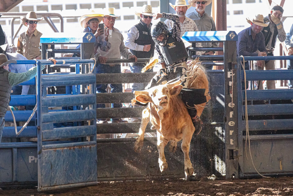 Southern Indiana Junior Rodeo PHOTO GALLERY: HS & JR Rodeo