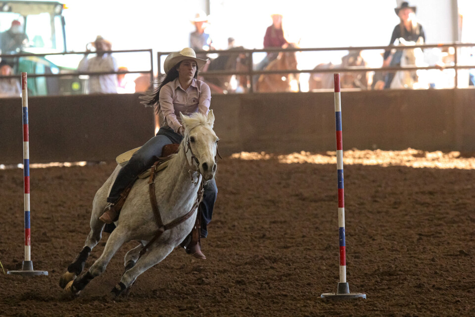 Hs Rodeo PHOTO GALLERY: HS & JR Rodeo