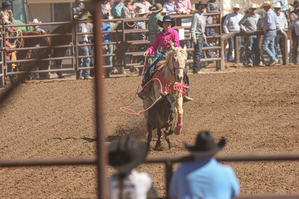 Southern Indiana Junior Rodeo PHOTO GALLERY: HS & JR Rodeo