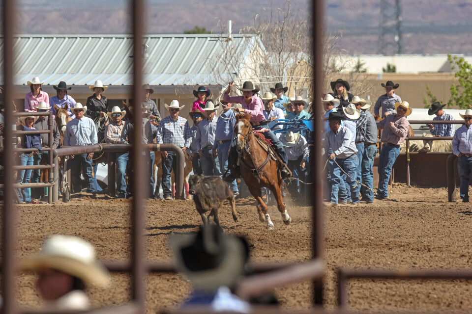 Hs Rodeo PHOTO GALLERY: HS & JR Rodeo