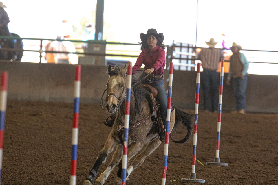 Ga Jr. High Rodeo PHOTO GALLERY: HS & JR Rodeo