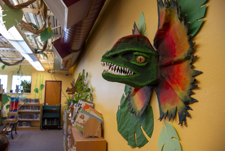 Socorro Public Library launches 2026 summer reading program with block ...